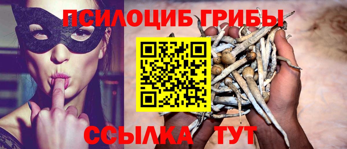 Галлюциногенные грибы GOLDEN TEACHER  Вход с VPN  Красноармейск 