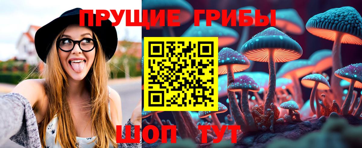 Галлюциногенные грибы MAGIC MUSHROOMS Красноармейск